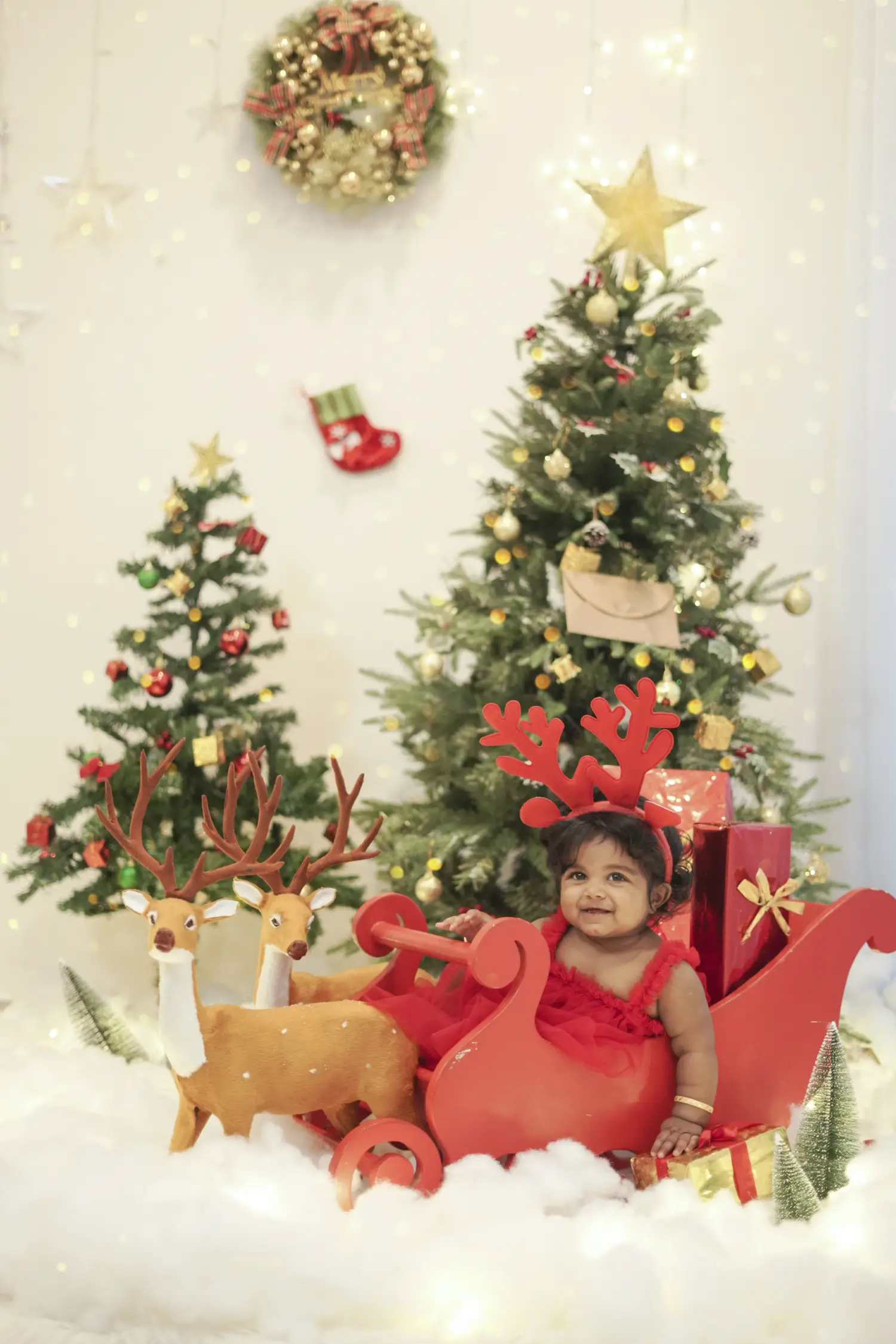 Baby and toddler photography in Dindigul