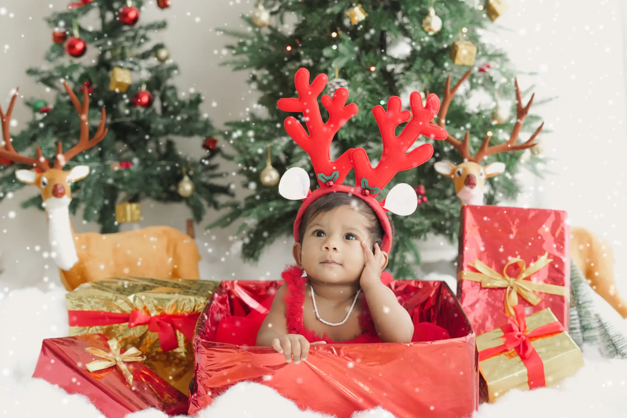 Baby and toddler photography in Dindigul