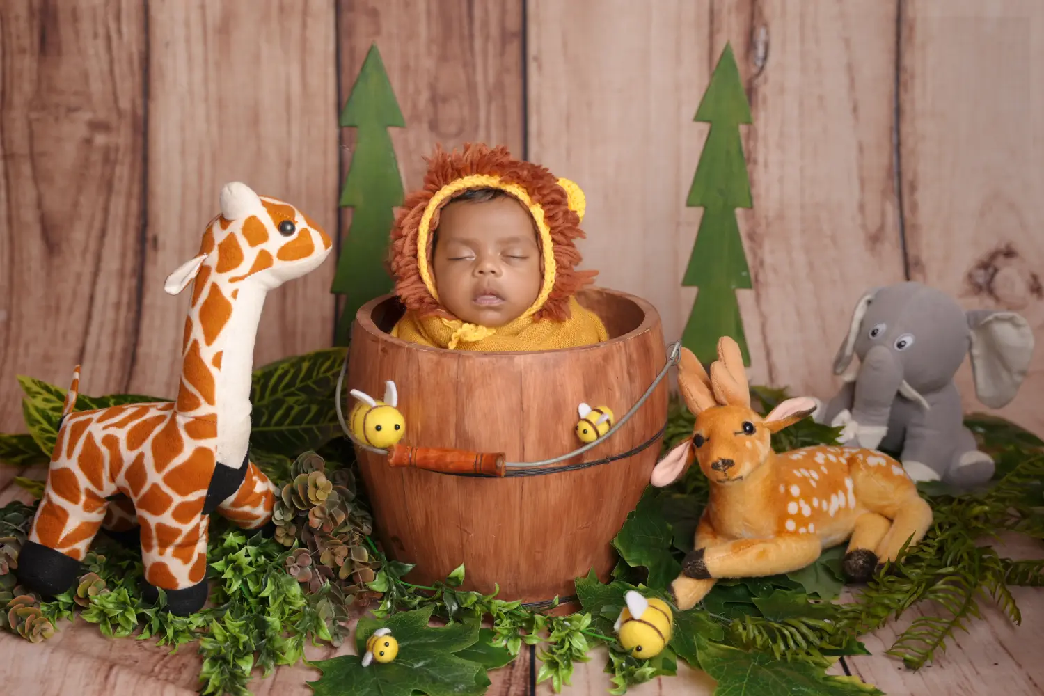 Newborn photography in Dindigul