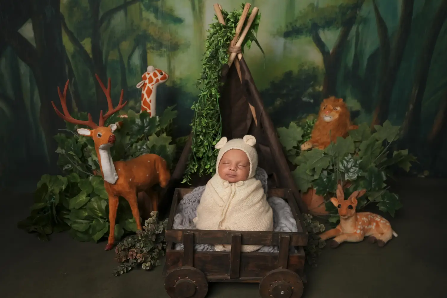Newborn photography in Dindigul