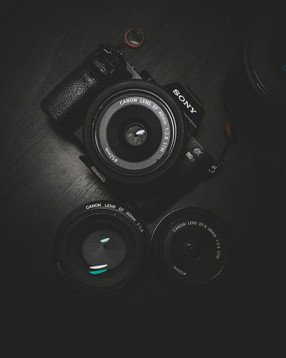 Photographer holding camera